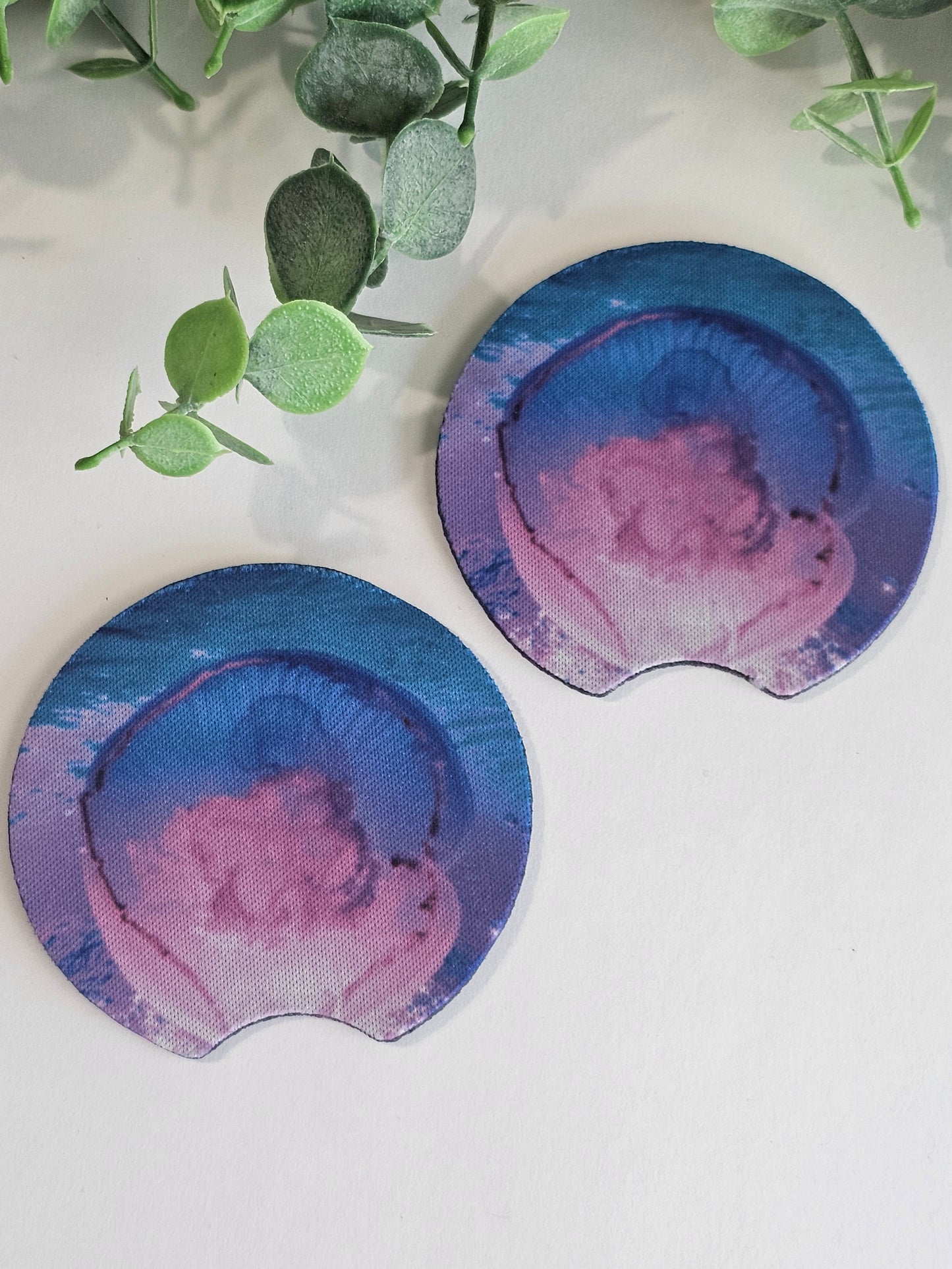 Jellyfish