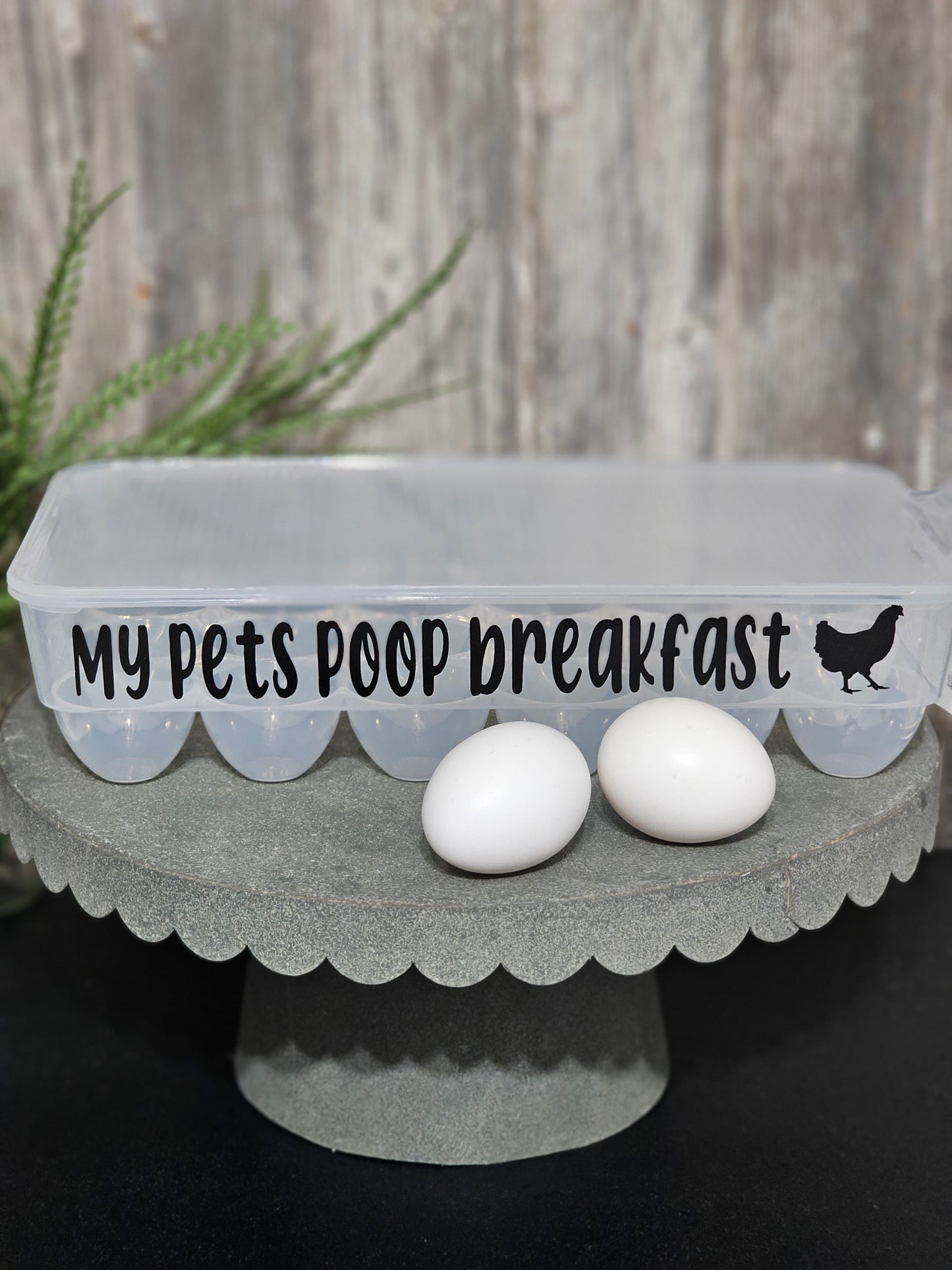 My pet's poop breakfast