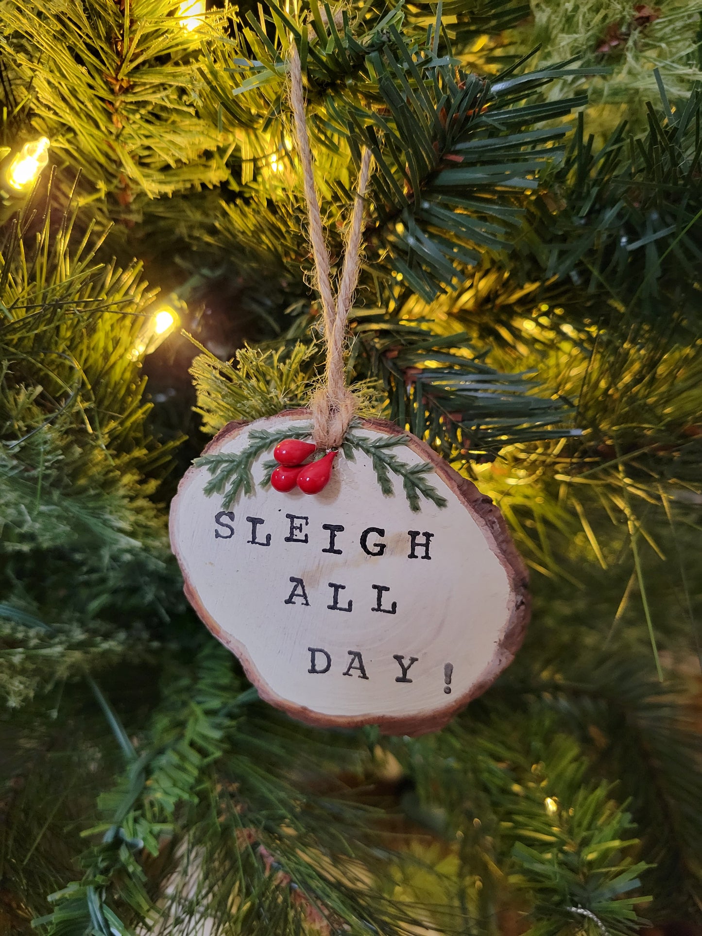 Sleigh all day