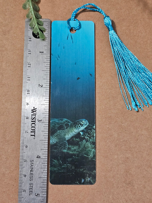 Sea Turtle