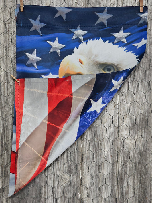 Flag Eagle *double-sided* Flag Fireworks