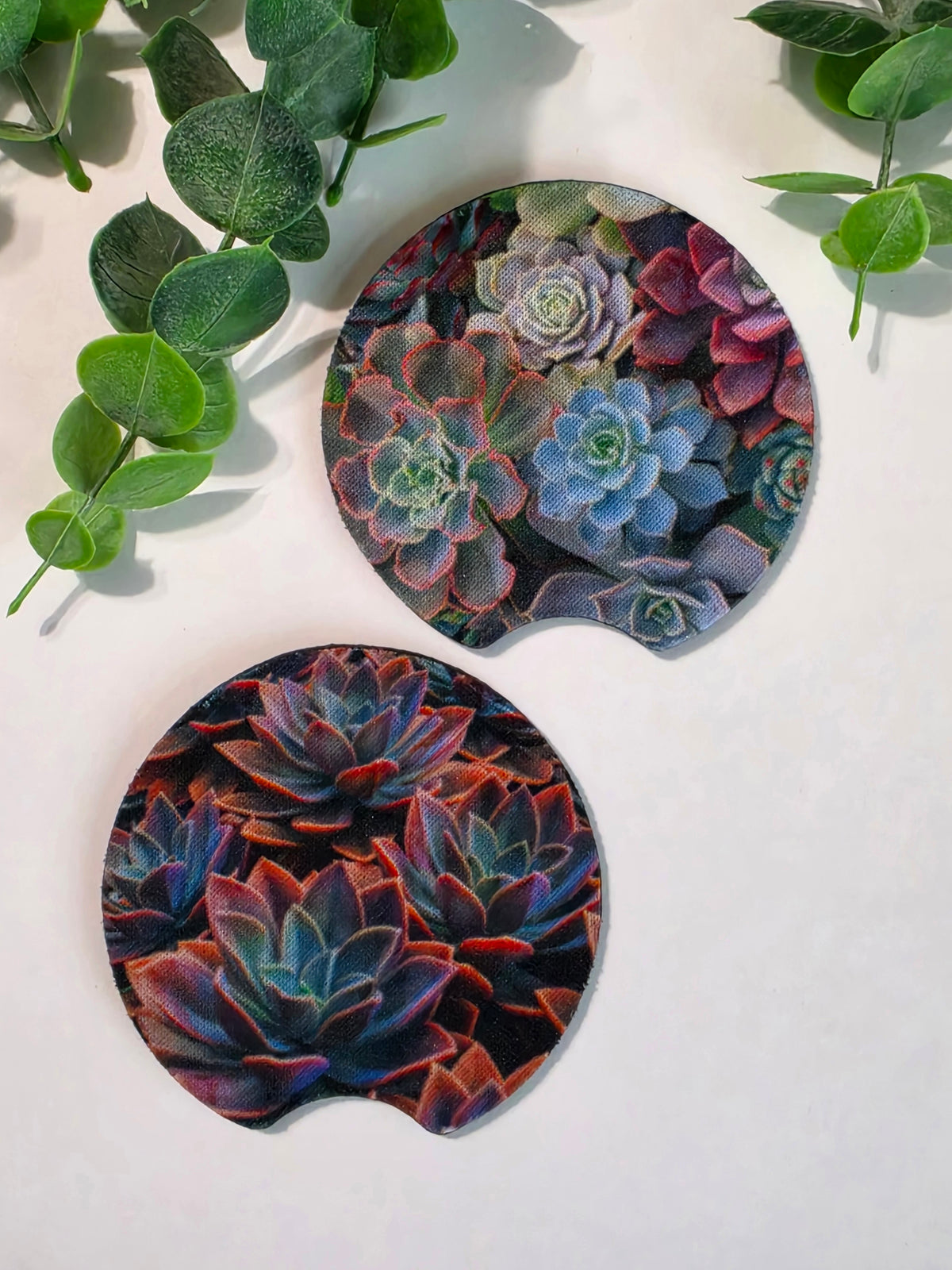 CC - Succulents