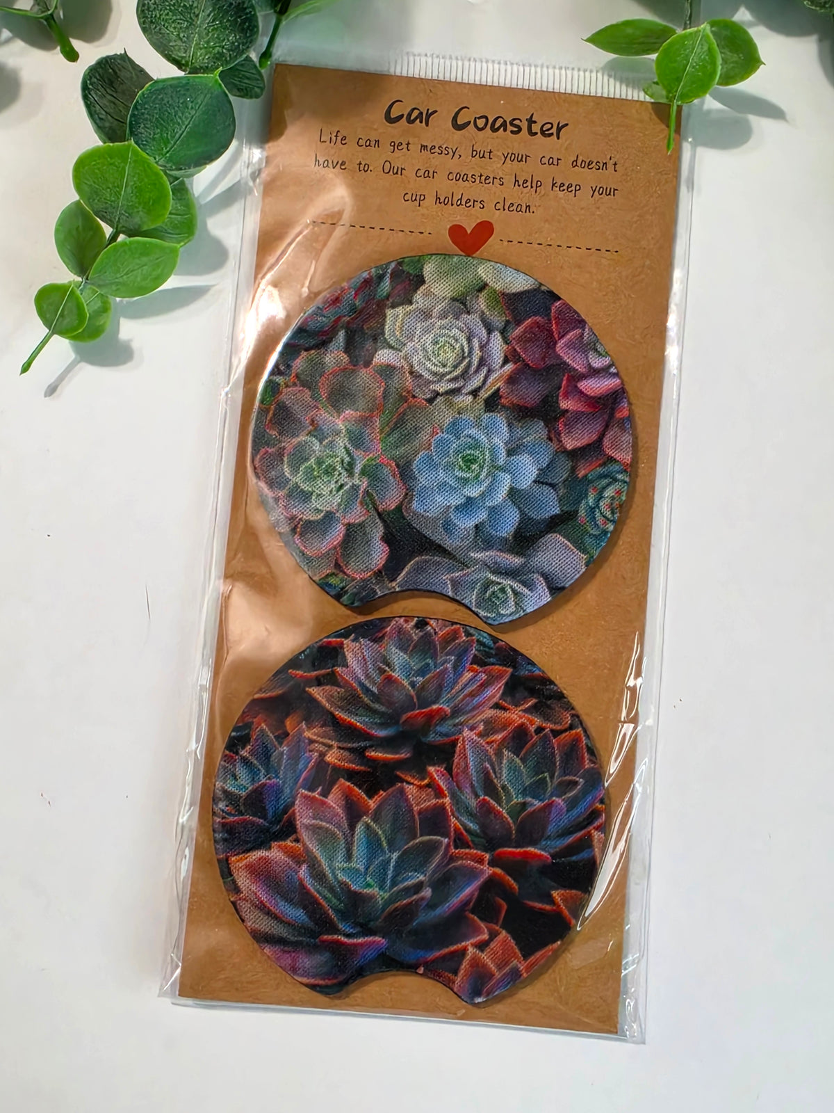 CC - Succulents