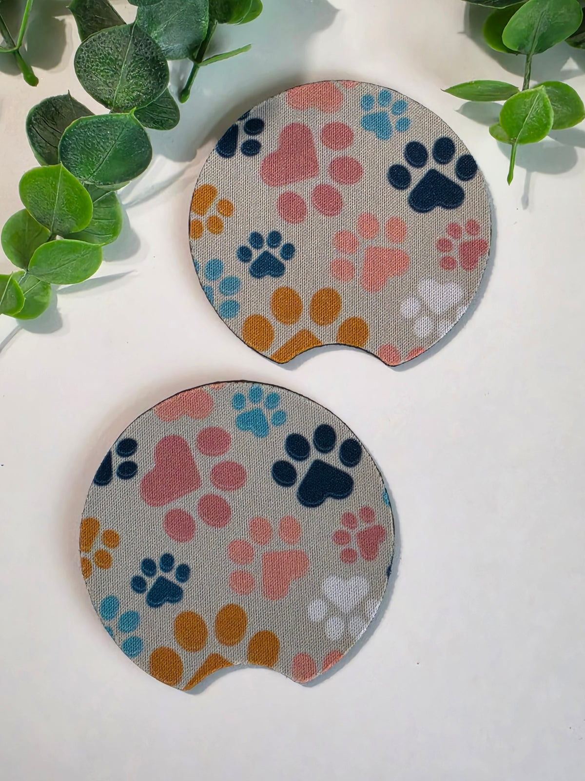 CC - Paws