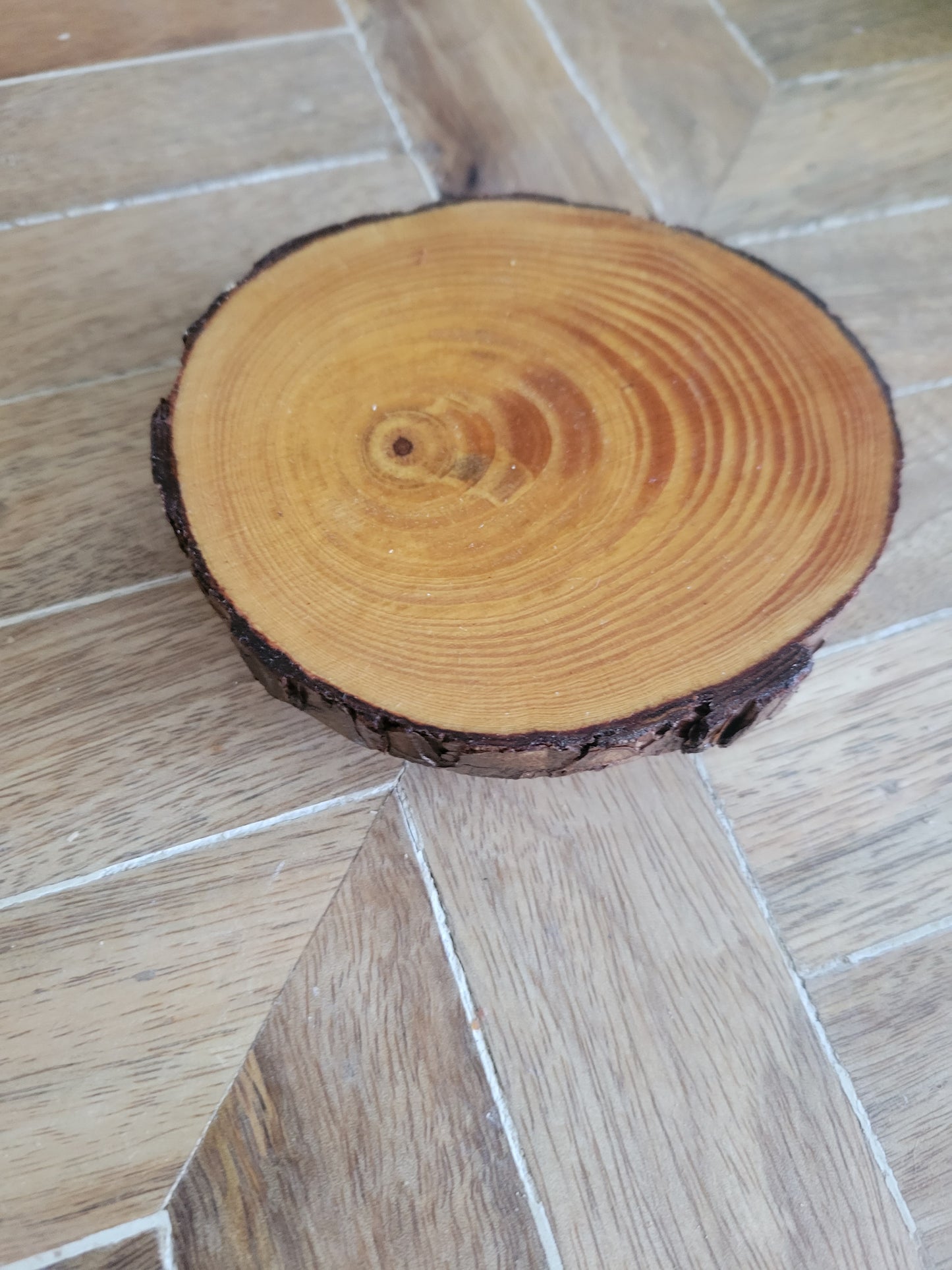 Wooden Trivet - Wood Slice
